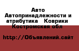 Авто Автопринадлежности и атрибутика - Коврики. Костромская обл.